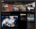 Thumbnail 3 Blog Themes (plr)