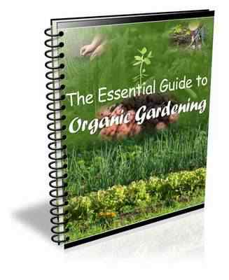 Product picture Essential Guide to Organic Gardening (PLR)