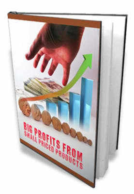 Product picture Big Profits From Small Priced Products  (mrr)