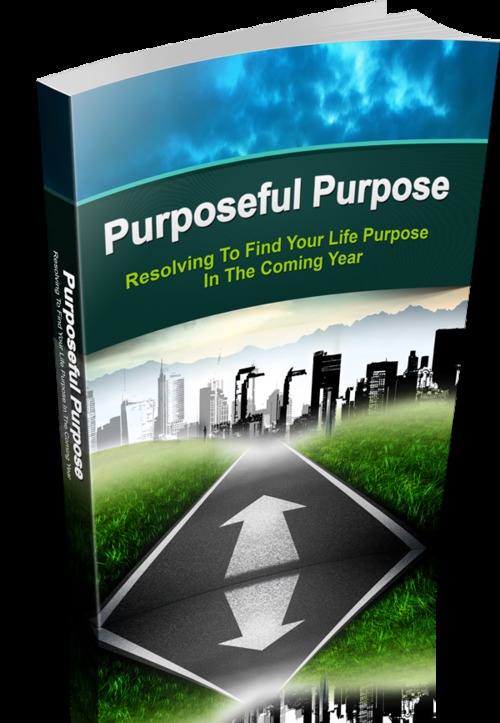 Product picture Purposeful Purpose (MRR)