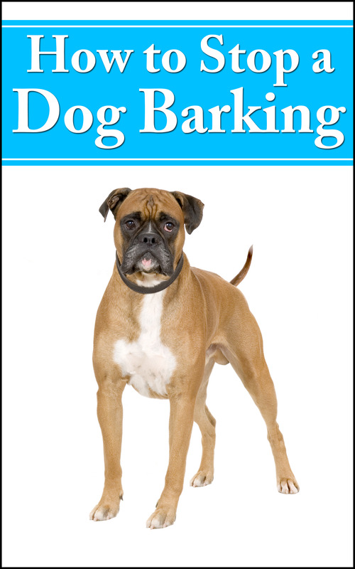 Product picture How To Stop A Dog Barking (MRR)