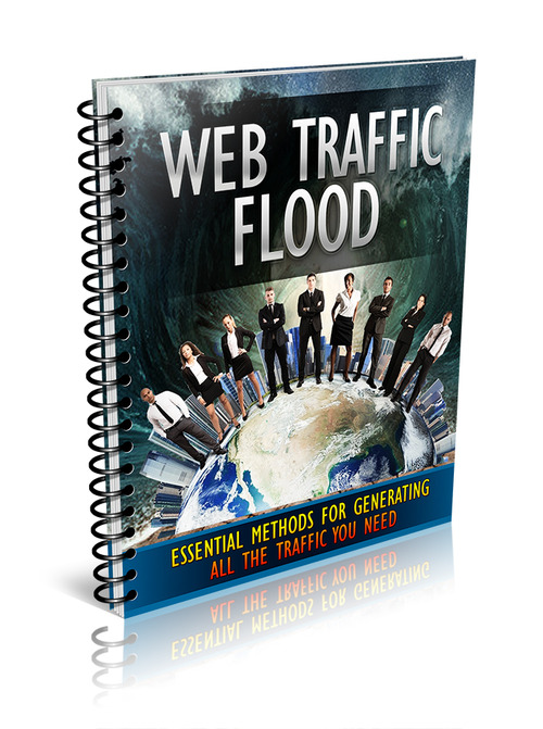 Product picture Web Traffic Flood (MRR)