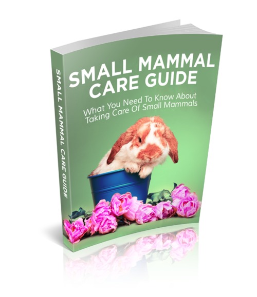 Product picture Small Mammal Care Guide (MRR)