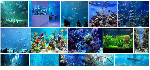 Product picture Aquarium Tank Instant Mobile Video Site (MRR)